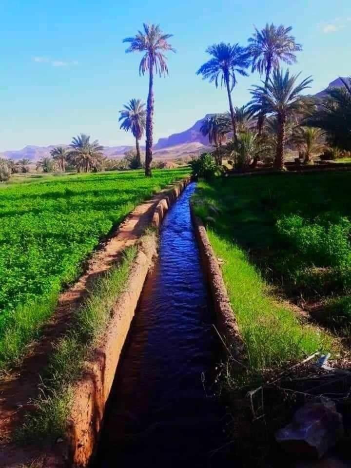 Defat Kasbah Hotel Ait Ben Haddou Bagian luar foto